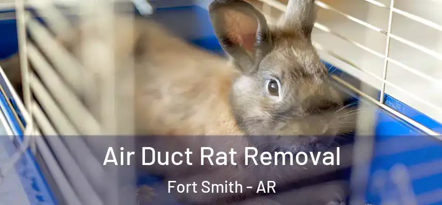Air Duct Rat Removal Fort Smith - AR