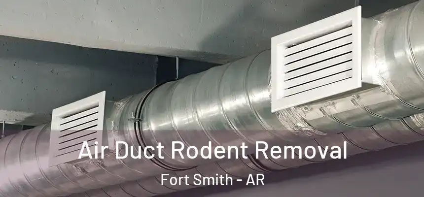 Air Duct Rodent Removal Fort Smith - AR
