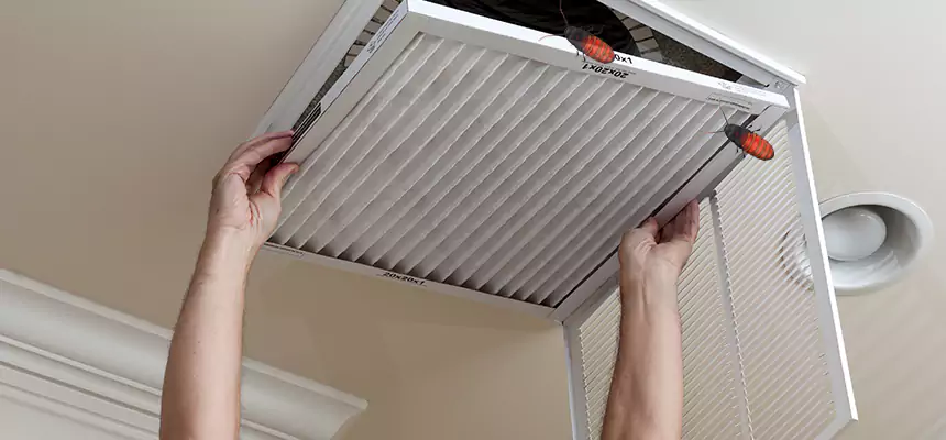 Preventive Cockroach-Proofing for Ducts in Fort Smith