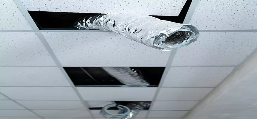 Our Air Duct Pet Hair Removal Services in Fort Smith, AR