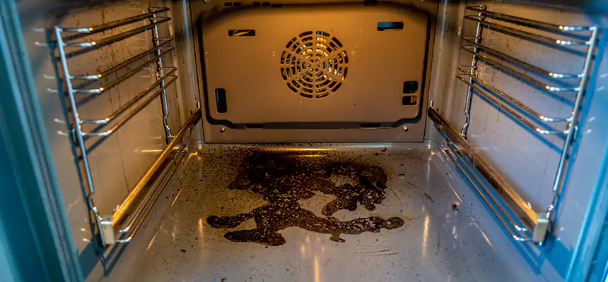 Our Dryer Vent Mold Cleaning Services in Fort Smith, AR