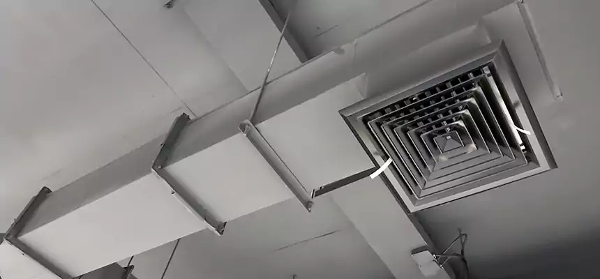 Our Rodent Droppings In Vents Services in Fort Smith, AR