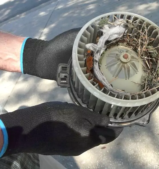 About Air Duct Mice Removal in Fort Smith, AR