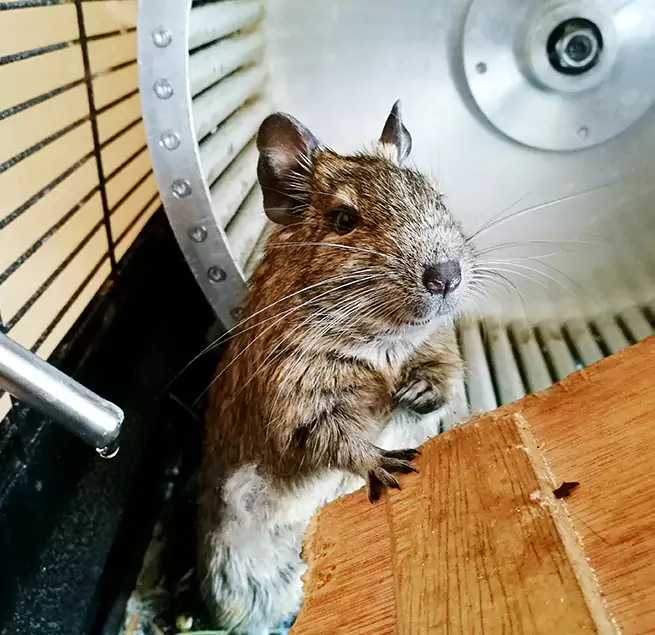 Why Homeowners & Businesses Trust Us Fort Smith, AR