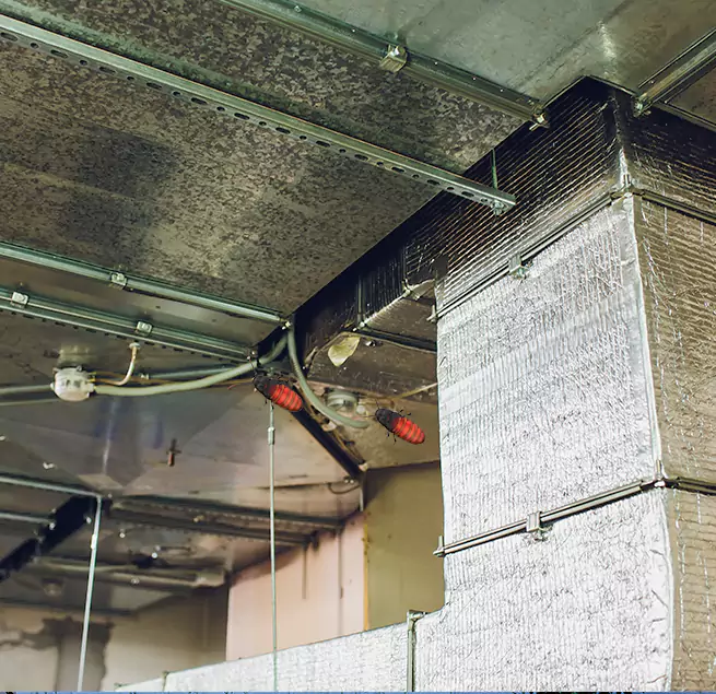 Why Homeowners & Businesses Trust Us Fort Smith, AR?